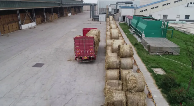 202106111623383008367190.png image.png