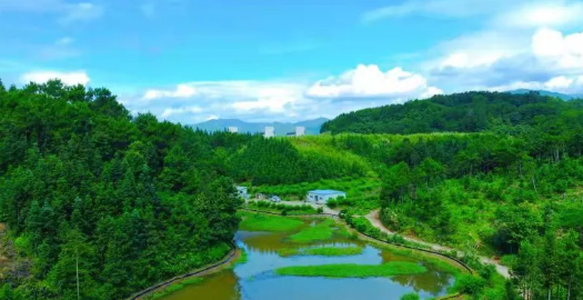 202106171623896997257330.png image.png